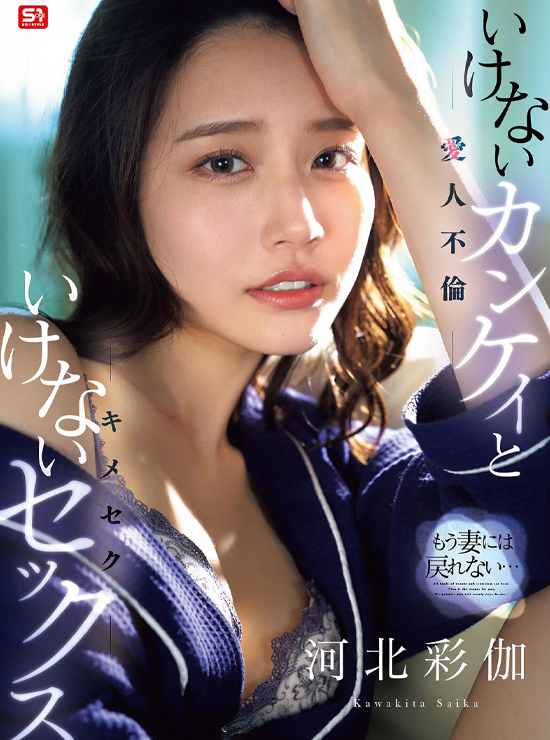 河北いけない関係